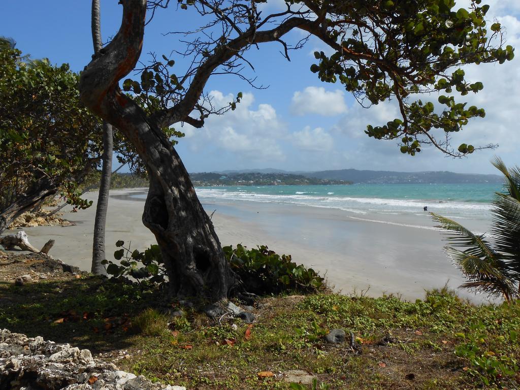 Villa Sans-Souci Lowlands Exterior foto